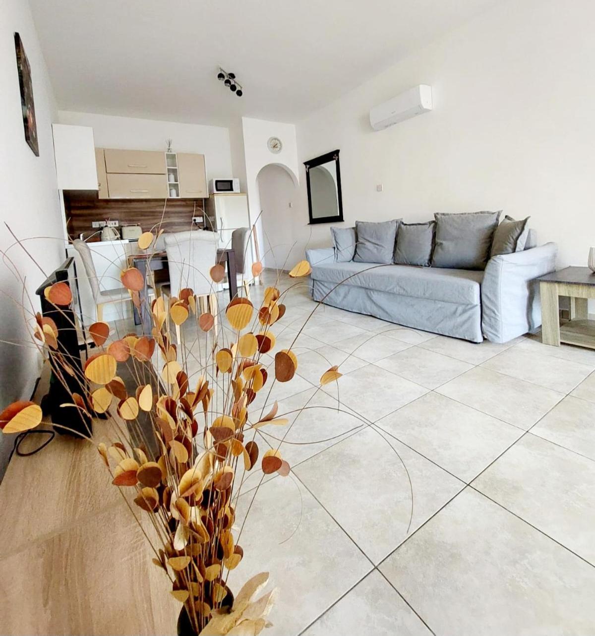Joanne'S Cosy 1 Bdrm Apt 파포스 외부 사진